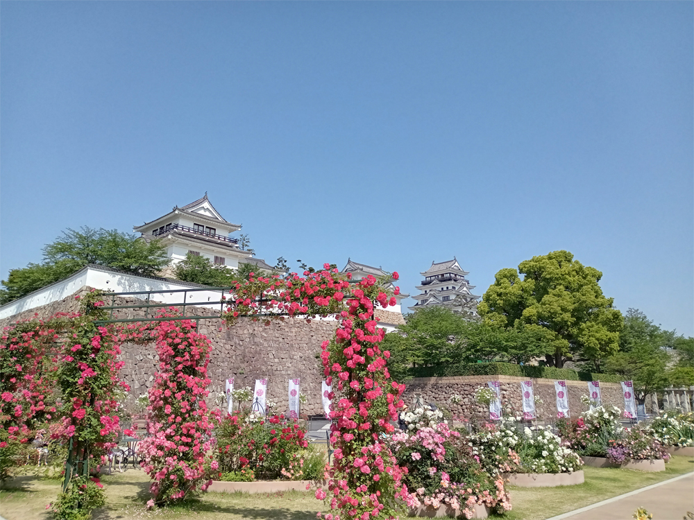 福山城とバラ